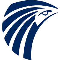 مصر للطيران